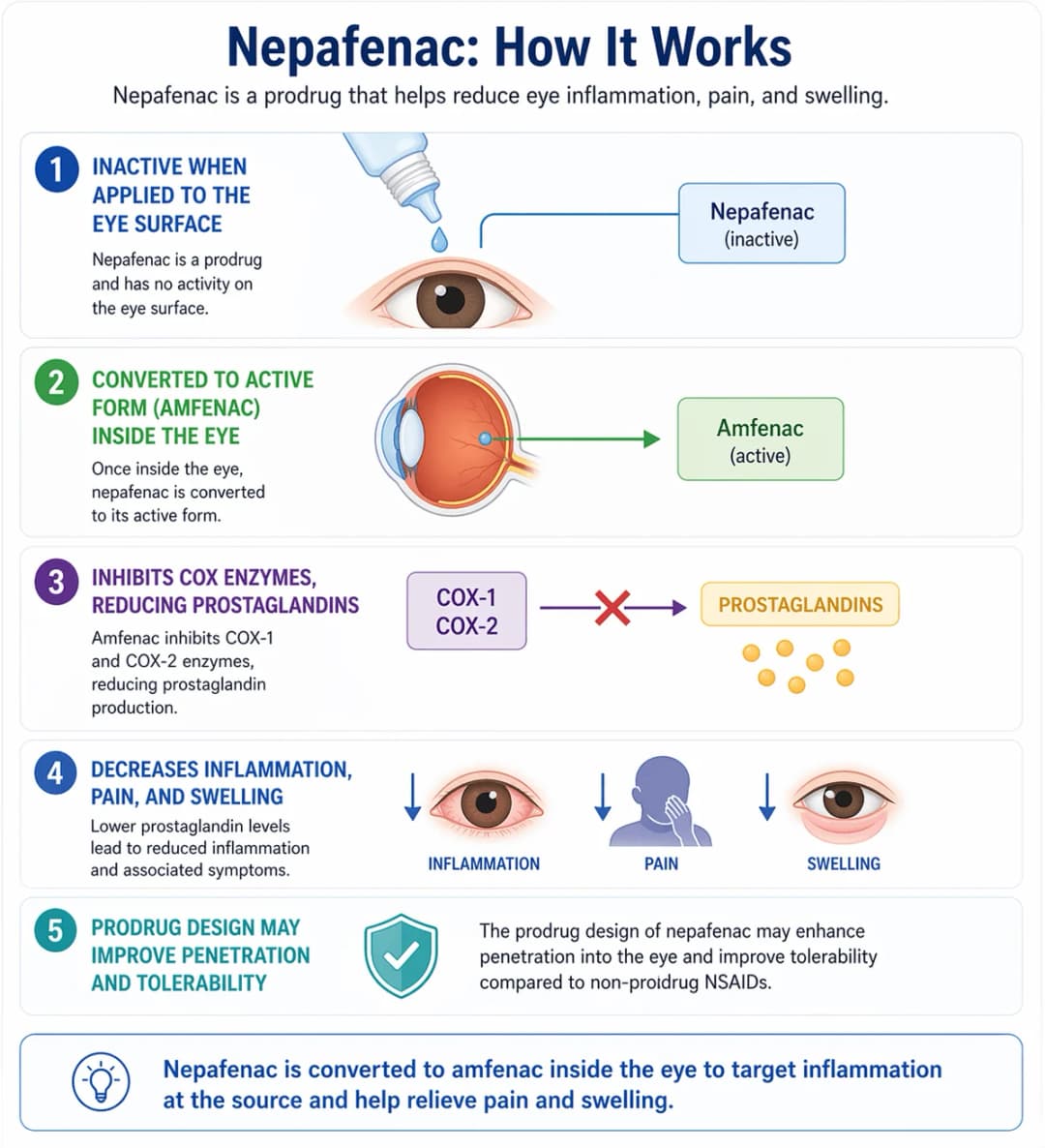 Infographic on how nepafenac (Ilevro) works: nepafenac is a topical ophthalmic NSAID prodrug that is inactive when applied to the ocular surface, is bioactivated by intraocular hydrolases into its active metabolite amfenac after penetrating into the eye, and then inhibits cyclooxygenase (COX-1 and COX-2) enzymes to reduce prostaglandin synthesis; lower prostaglandin levels decrease ocular inflammation, pain, and swelling; the prodrug design is intended to enhance corneal and intraocular penetration and improve surface tolerability compared with non-prodrug NSAID eye drops, supporting its use for post-cataract-surgery inflammation and prevention of cystoid macular edema