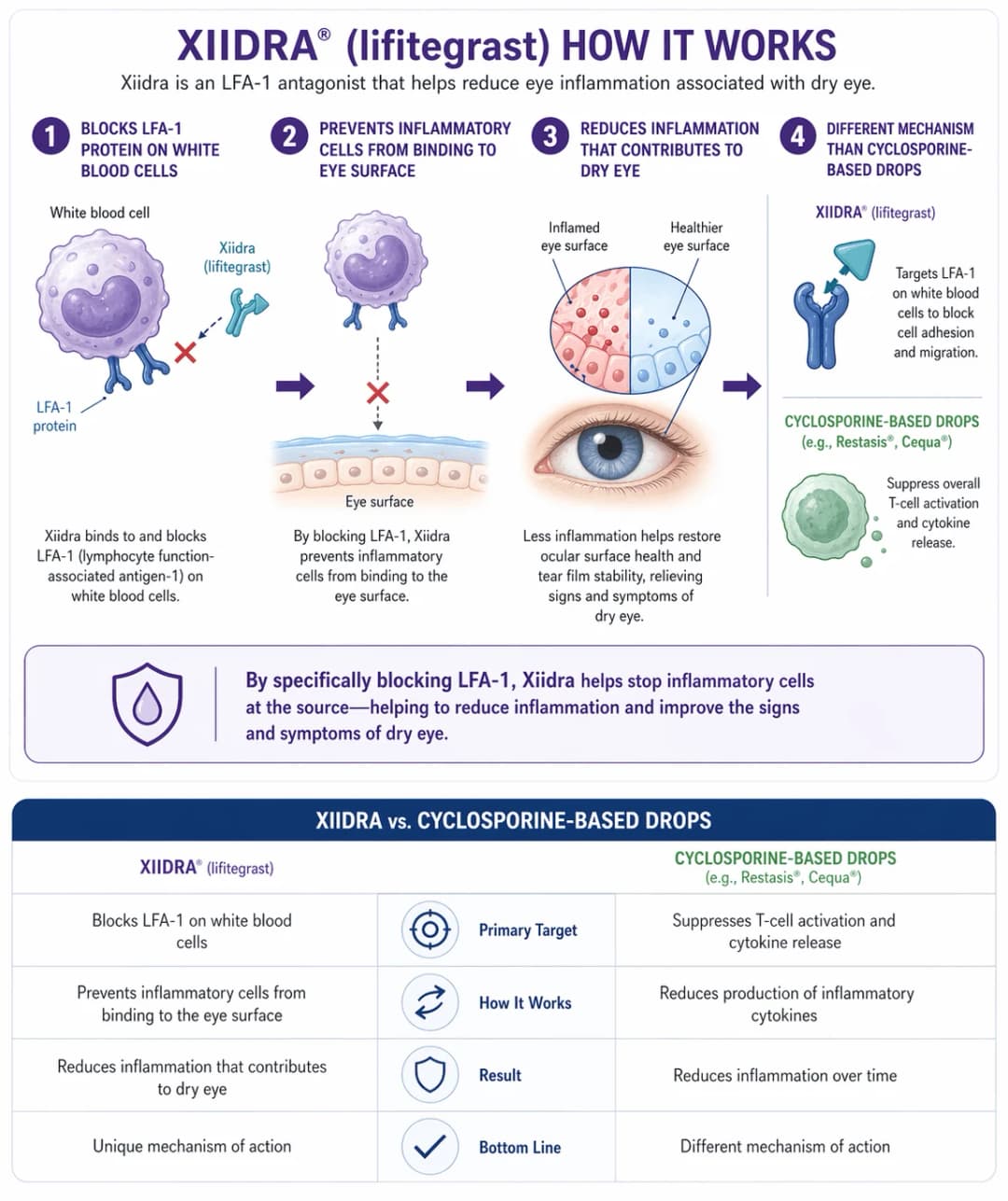 Infographic on how Xiidra (lifitegrast) works for dry eye disease: lifitegrast is an LFA-1 (lymphocyte function-associated antigen-1) antagonist that binds to the LFA-1 protein on T-cells and other white blood cells, preventing them from engaging ICAM-1 and adhering to and migrating into the ocular surface; blocking this adhesion step reduces ocular surface inflammation and cytokine-driven damage, restoring healthier conjunctival and corneal epithelium and improving tear film stability to relieve the signs and symptoms of dry eye; comparison table versus cyclosporine-based drops (Restasis, Cequa), which instead broadly suppress T-cell activation and cytokine release - highlighting that Xiidra targets cell adhesion upstream, a distinct and complementary mechanism of action