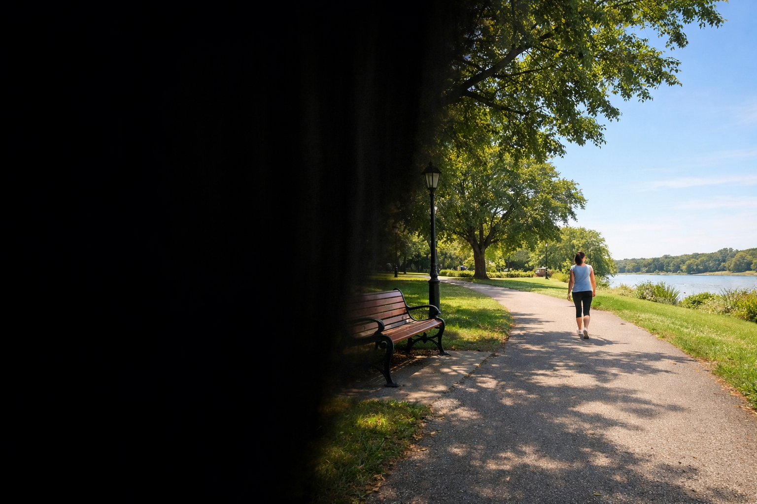Simulation of transient vision loss showing a dark curtain-like shadow descending over one side of a park scene — illustrating amaurosis fugax, the classic curtain coming down description reported by patients with temporary monocular vision loss