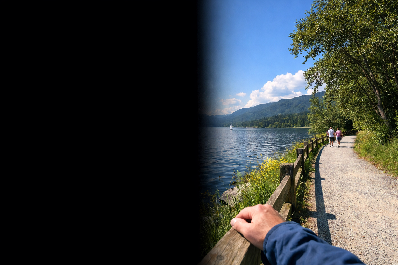 Simulation of hemianopia vision loss showing the left half of the visual field completely blacked out while the right half reveals a lakeside walking path — illustrating how patients with partial vision loss from stroke, optic nerve damage, or brain lesions experience half-field blindness in daily life
